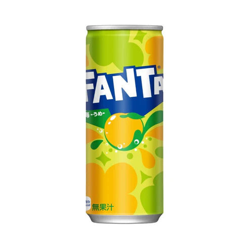 Fanta Plum Citron (30x250ml)